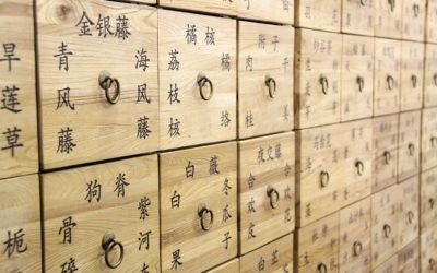 CURARSI CON YIN E YANG, L’OMS SDOGANA LA MEDICINA CINESE