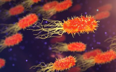 SEMPRE PIU’ ALLERGICI E MALATI. MA A RAFFORZARE I NOSTRI BIMBI SARANNO I MICROBI AFRICANI