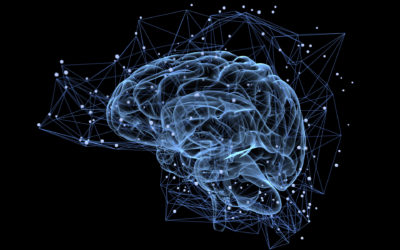 PSICO NEURO ENDOCRINO IMMUNOLOGIA: DOVE CORPO E MENTE SI INCONTRANO