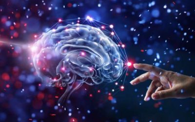 IL DONO DELLA NEUROPLASTICITA’: COME SI MODIFICA IL CERVELLO