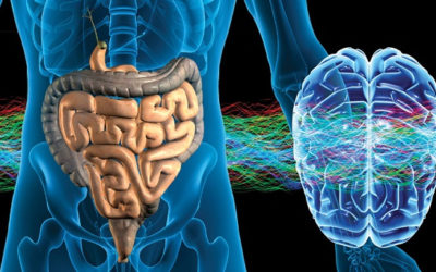 QUANDO LA SALUTE SI CURA NELL’INTESTINO