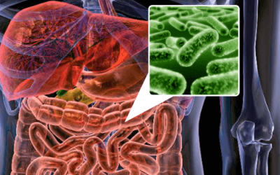 I TRAUMI INFANTILI POSSONO INFLUENZARE NEGATIVAMENTE LA FLORA BATTERICA INTESTINALE