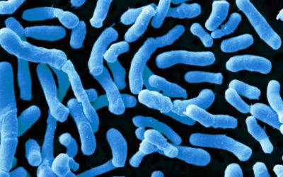 MICROBIOTA, LA NUOVA ARMA PER COMBATTERE IL CANCRO