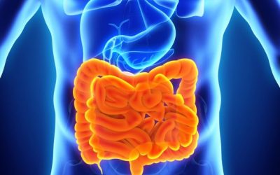 PERMEABILITA’ INTESTINALE? CHIARIAMOCI LE IDEE