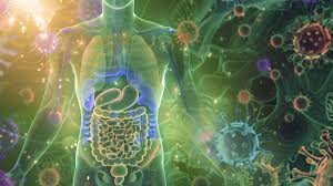 NEL MICROBIOTA INTESTINALE LA “FIRMA” DELLA DEPRESSIONE