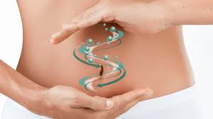 SCOPERTO IL MECCANISMO CHE CAUSA LA SINDROME DELL’INTESTINO IRRITABILE