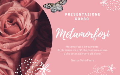 PRESENTAZIONE CORSO BASE DI METAMORFOSI